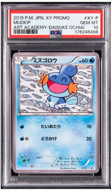 Screenshot of
Mudkip Art Academy Promo 