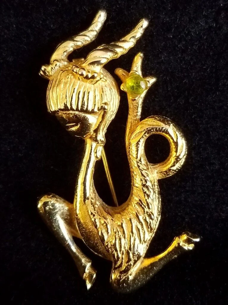 Vogue zodiac Capricorn pin