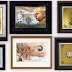 India Mint Coin Artwork Frames: Check Collection Terms Before Ordering